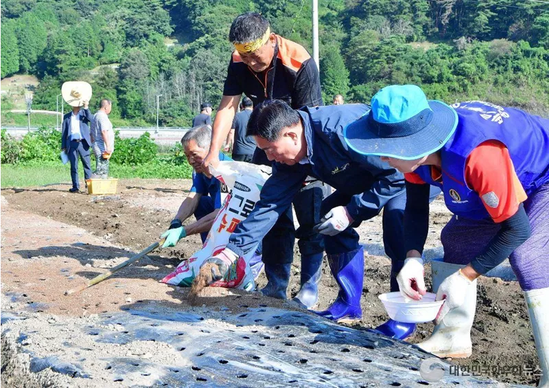 장성군 북하면 산나물축제 ‘준비 착착’!!