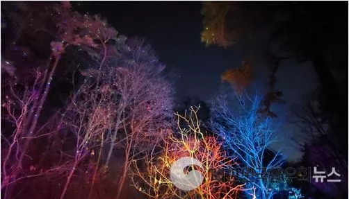 인천시 남동구, 전국 최장 도롱뇽마을 무장애나눔길 LED 반딧불 조명 운영 시작!